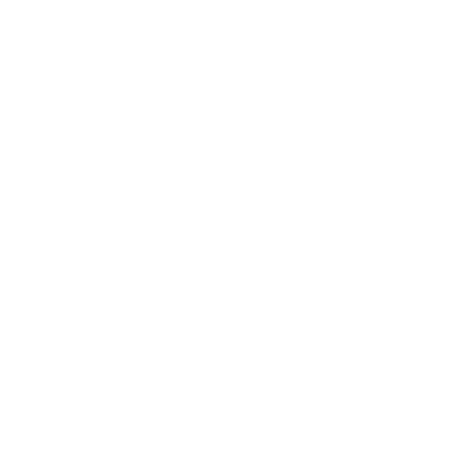 Radio Record - На шашлыки!