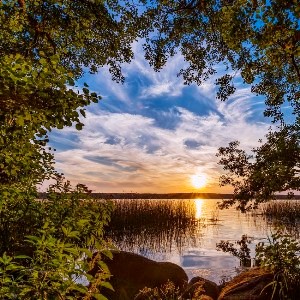 Sounds Of Nature - Radio Caprice