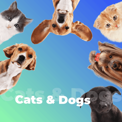 Cats & Dogs - 101.ru