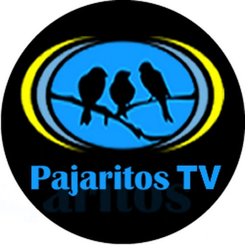 Pajaritos FM