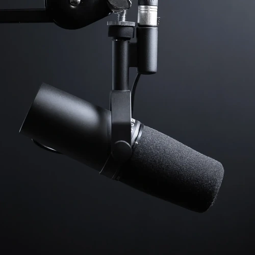 Palmira Stereo